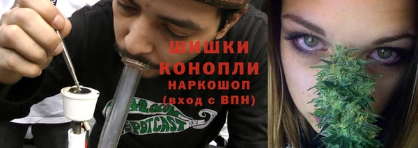 спайс Бородино