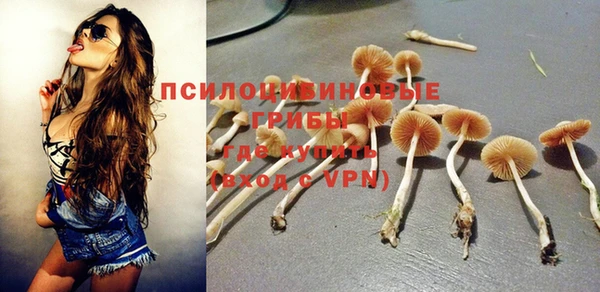 спайс Бородино