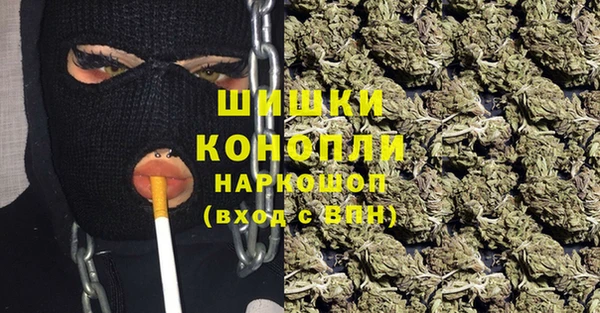 спайс Бородино