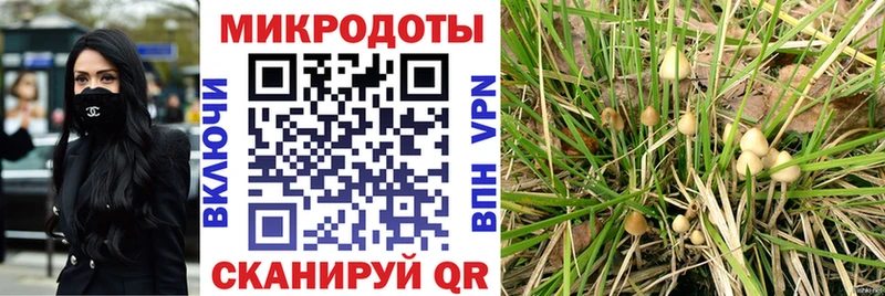 дарк нет клад  Курск  Псилоцибиновые грибы Cubensis  цена наркотик  KRAKEN ТОР 